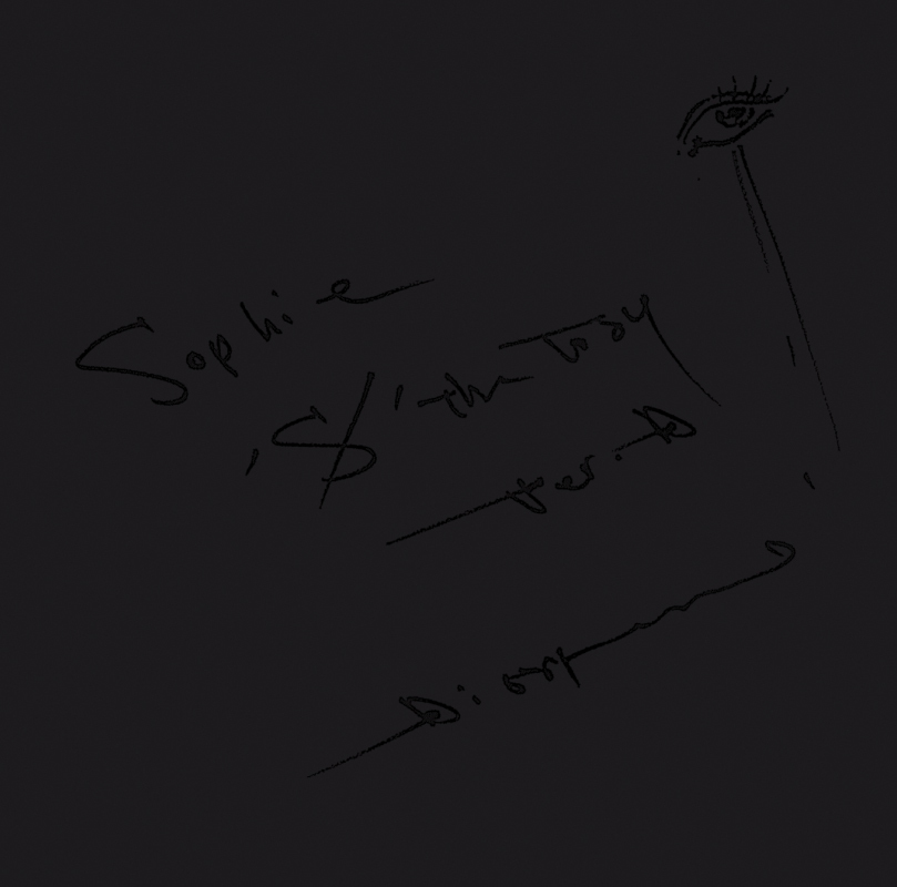 Diggy-MO' Sophie 'S' The Way シリアル51○番台 Diggy-MO'「Sophie / 'S/' The Way -ver.D-」 - メルカリ